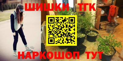не бодяженный Кингисепп