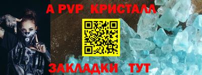 не бодяженный Кингисепп