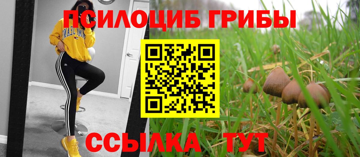 Псилоцибиновые грибы Cubensis Аксай