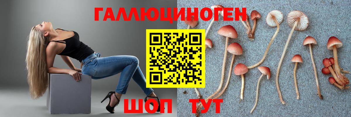 Галлюциногенные грибы Psilocybine cubensis  Вход с VPN  Аксай 