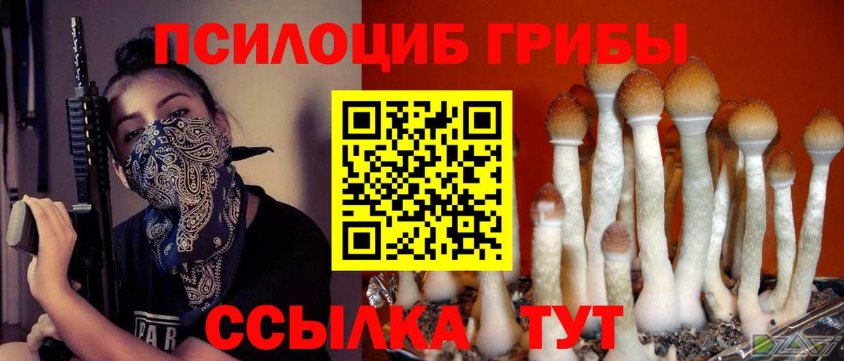 Галлюциногенные грибы Magic Shrooms Аксай