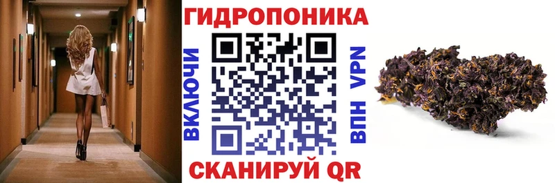 Бошки Шишки планчик  Аксай 